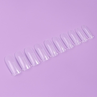 Верхние формы для наращивания в контейнере, 100 шт, цвет прозрачный