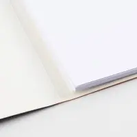 Бумага для черчения А4, 20 листов, без рамки, белизна 100%, 160 г/м&sup2; в папке