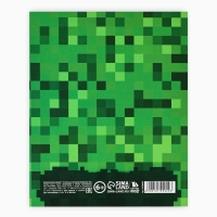 Дневник школьный для 1-11 класса, в интегральной обложке, 40 л. &laquo;Пиксель&raquo;