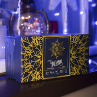 Гирлянда &laquo;Бахрома&raquo; 3 &times; 0.6 м, IP44, УМС, белая нить, 160 LED, свечение синее, 220 В