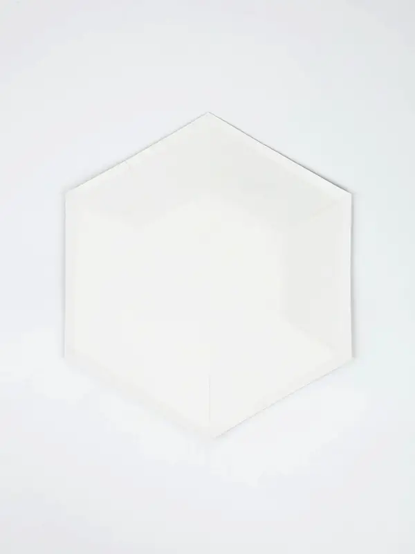 Тарелка фигур С ДР Мужской Стиль 23см6шт