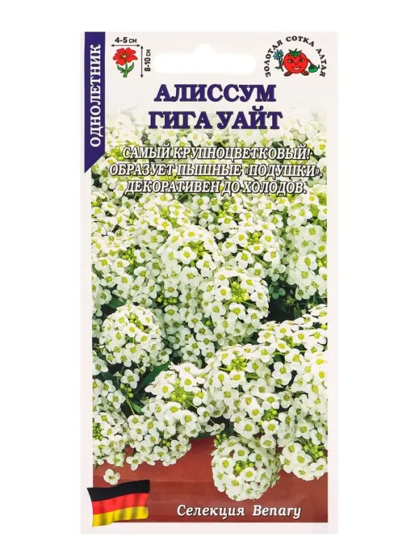 Семена Алиссум Гига Уайт /Сотка/ 0,01 г/*1800