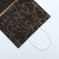 Пакет подарочный крафтовый "Поздравляю" 27 х 22 х 11 см, 120 г/м&sup2;