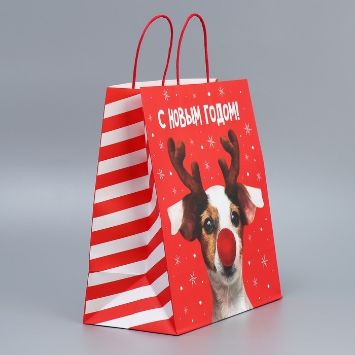 Пакет подарочный новогодний крафтовый &laquo;Олень ты&raquo;, 28 х 32 х 15 см