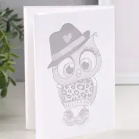 Фотоальбом 36 фото 10X15см, "Совёнок в шляпе",  ПП карм.,мягкая обложка