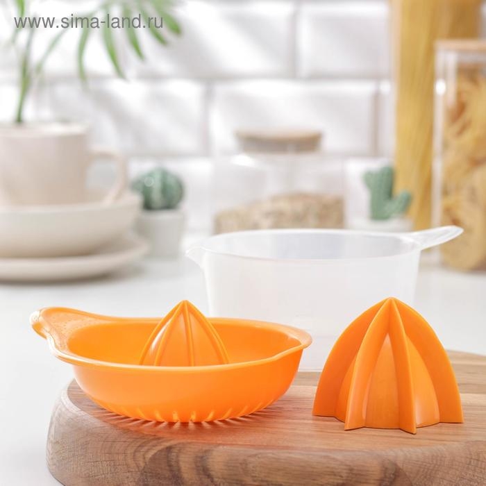 Соковыжималка для цитрусовых &laquo;Мадена&raquo;, 300 мл, цвет МИКС