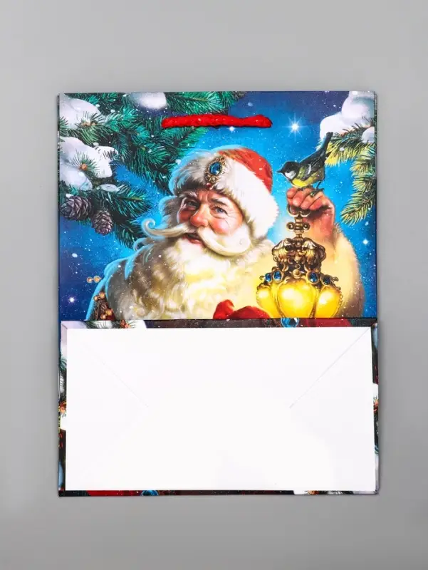 Пакет подарочный новогодний ламинированный, &laquo;Дед Мороз&raquo; , 18&times;10&times;22.3 см