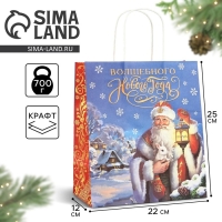 Пакет подарочный новогодний крафтовый &laquo;Яркого нового года&raquo;, 22 х 12 х 25 см , Новый год