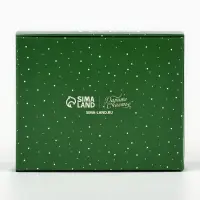 Коробка складная &laquo;Новогодняя ботаника&raquo;, 10 х 8 х 3.5 см