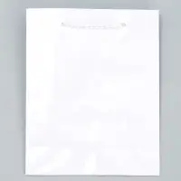 Пакет подарочный ламинированный, упаковка, &laquo;Белый&raquo;, S 12 х 15 х 5.5 см