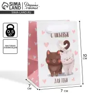Пакет подарочный ламинированный, упаковка, &laquo;Котики&raquo;, 7&times;10&times;7 см