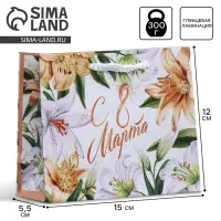 Пакет подарочный ламинированный, упаковка, &laquo;8 марта&raquo;, S 12 х 15 х 5.5 см