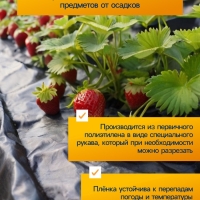 Плёнка полиэтиленовая, техническая, 80 мкм, чёрная, длина 10 м, ширина 3 м, рукав (1.5 м &times; 2), Эконом 50%, Greengo