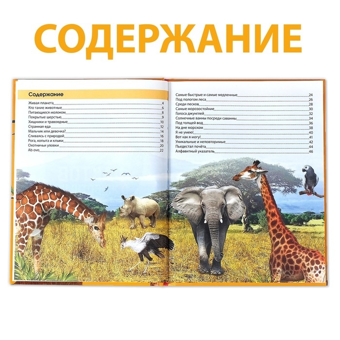 Энциклопедия &laquo;200 фактов о животных&raquo;, 48 стр.