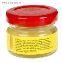 Мазь &laquo;Монастырская Живица с Мухомором&raquo;. Ранозаживляющая.  Стекло. 28 мл.
