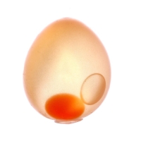 Мялка антистресс &laquo;Яичко&raquo;, с жидкостью, цвета МИКС, в шоубоксе