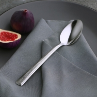 Ложка столовая Доляна &laquo;Пулкин&raquo;, длина 19 см, толщина 1,2 мм