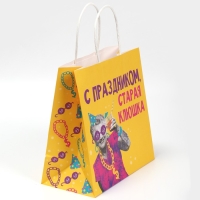 Пакет подарочный, упаковка, &laquo;Клюшка&raquo;, 22 х 22 х 11 см