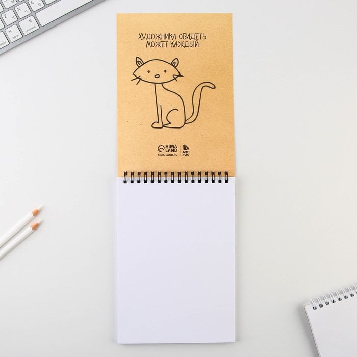 Скетчбук А5, 40 л 100 г/м2 &laquo;Котозарисовки&raquo;