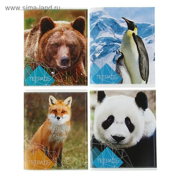 Тетрадь 96 листов в клетку Calligrata &laquo;Животные&raquo;, обложка мелованный картон, блок №2, белизна 75% (серые листы), МИКС