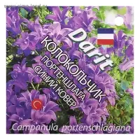 Семена цветов Колокольчик "Портеншлага", "Синий ковер", 0,01 г