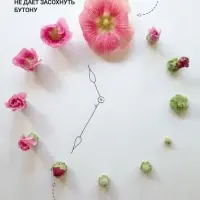 Удобрение для срезанных цветов "Срезка", 5г набор 2000шт