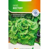 Семена Салат "Восторг" 0,3 г