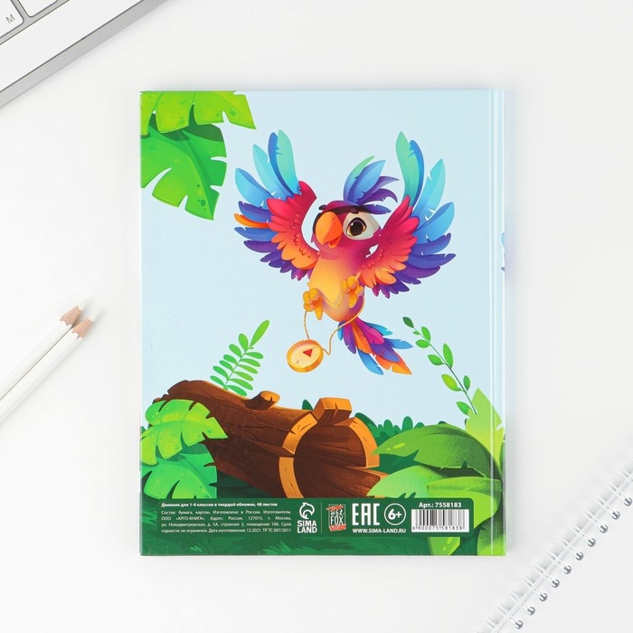 Дневник школьный 1-4 класс &laquo;1 сентября:Пират&raquo;, твердая обложка 7БЦ, глянцевая ламинация, 48 листов