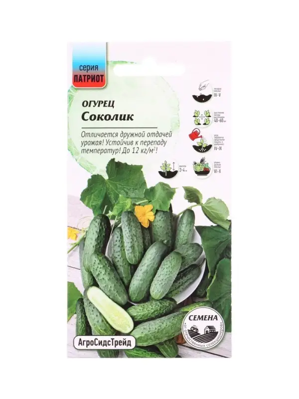 Семена Огурец Соколик 10 шт