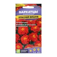 Семена цветов Бархатцы "Красная Вишня", ц/п,  О, 0,2 г.