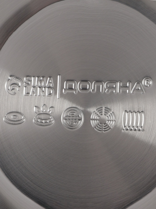 Чайник со свистком из нержавеющей стали Доляна Magic birds, 3 л, с индикатором нагрева, индукция