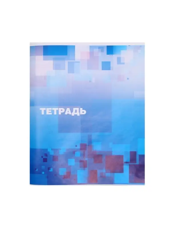 Тетрадь 48 листов в клетку Calligrata &laquo;Графика&raquo;, обложка мелованная бумага, серые листы, МИКС
