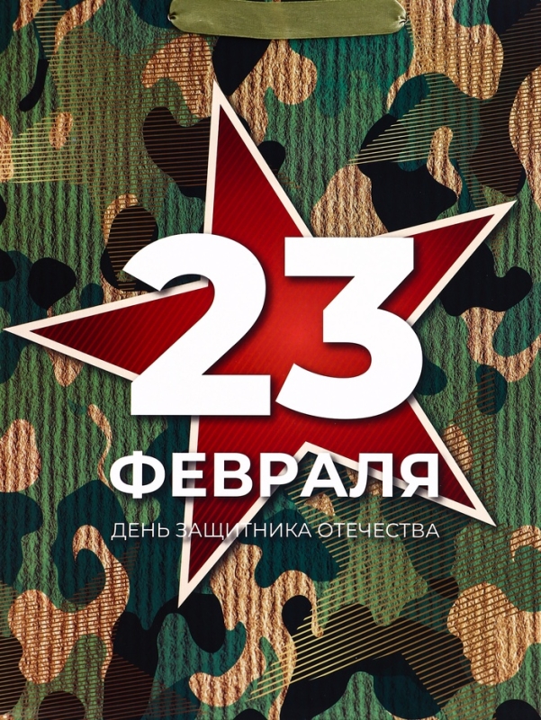 Пакет подарочный вертикальный &laquo;Защита&raquo;,  M 26 &times; 32 &times; 12 см