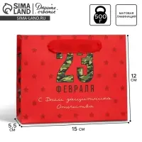 Пакет подарочный ламинированный, упаковка, &laquo;С 23 февраля&raquo;, S 15 х 12 х 5.5 см