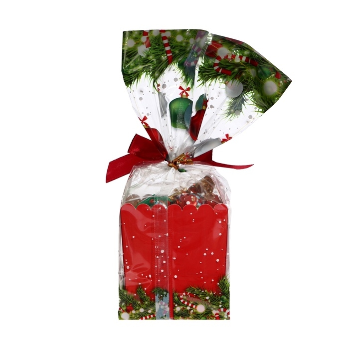 Новый год. Конфеты глазированные "Территория волшебства", МИКС, 170 г