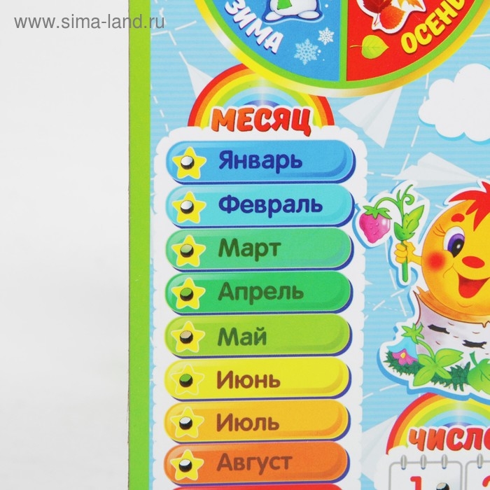 Календарь обучающий &laquo;Детский&raquo;, с часами, из дерева