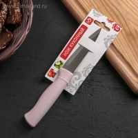 Нож для чистки овощей Доляна &laquo;Ринго&raquo;, лезвие 9 см, цвет МИКС