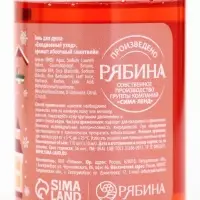 Подарочный набор новогодний в санях: 2 геля для душа, соль для ванны и мочалка, URAL LAB