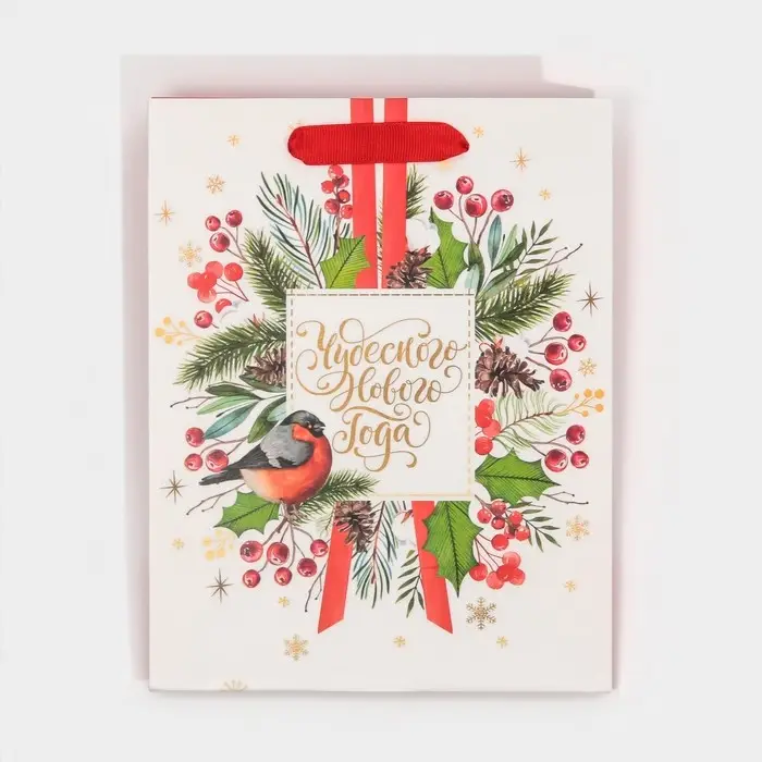 Пакет подарочный новогодний ламинированный &laquo;Чудесного Нового Года&raquo;, MS 18 х 23 х 10 см