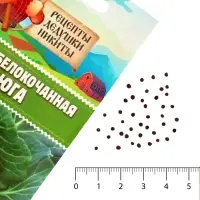 Семена Капуста белокочанной "Вьюга", 0,3 г