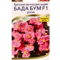 Семена цветов Бегония Бада бум F1 роза  (драже в пробирке) Спецсерия Syngenta, Ц/П,5 шт.