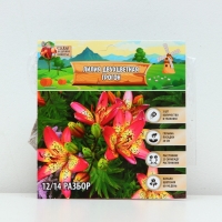 Лилия Двухцветная Trogon, луковица в пакете с перфорацией, р-р 12/14, 3 шт.