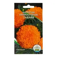 Семена цветов Бархатцы прямостоячие "Гавайи", 0,2 г