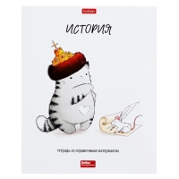 Комплект предметных тетрадей 48 листов, 12 предметов Hatber &laquo;Приключения кота Пирожка&raquo;, обложка мелованная бумага, с интерактивным справочником,...