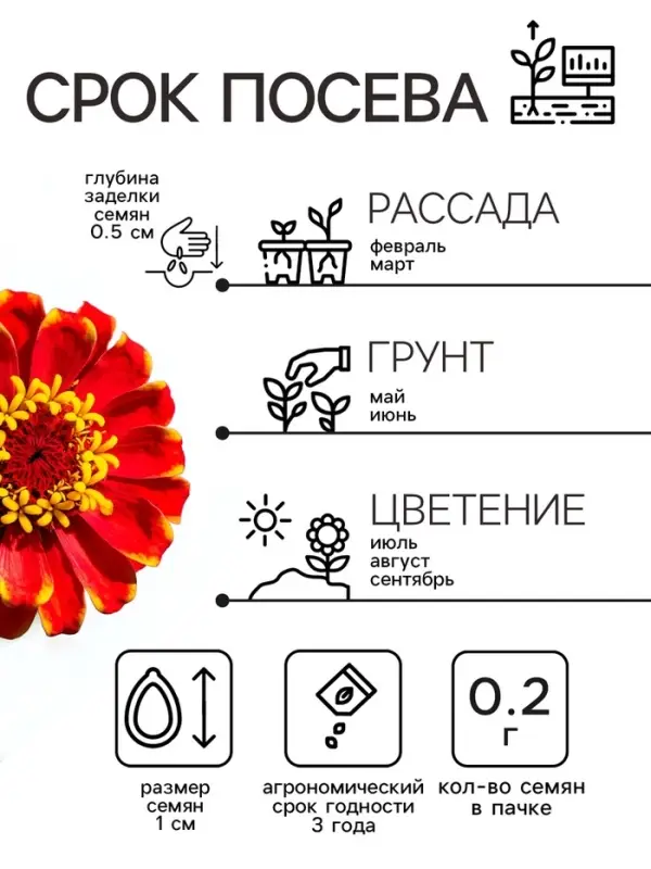 Семена цветов Цинния "Сомбреро", 0,2 г