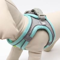 Комплект с мягкой шлейкой, быстросъемный, S, поводок 150 х 1,5 см, ОШ 33-36 см, ОГ 35-40 см, бирюз