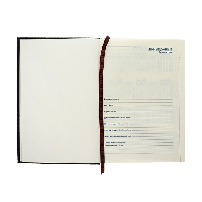 Ежедневник полудатированный, А5, 192 листа, линейка, обложка кожзам, золотой срез "Крокодил", черный