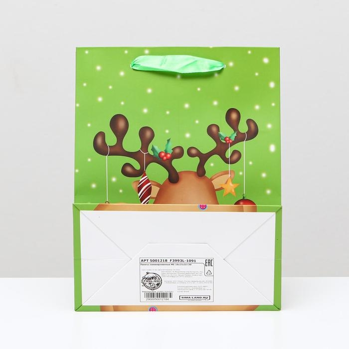 Пакет ламинированный "Подарок", 18 x 23 x 10 см