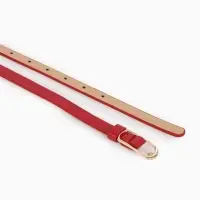 Ремень жен 02-01-01-01, Июнь2515 1,5*0,3*110 см, без винта, пряж золото, 1 прокол, красный   1090317