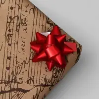 Бант - звезда №3.5, металлик, ассорти